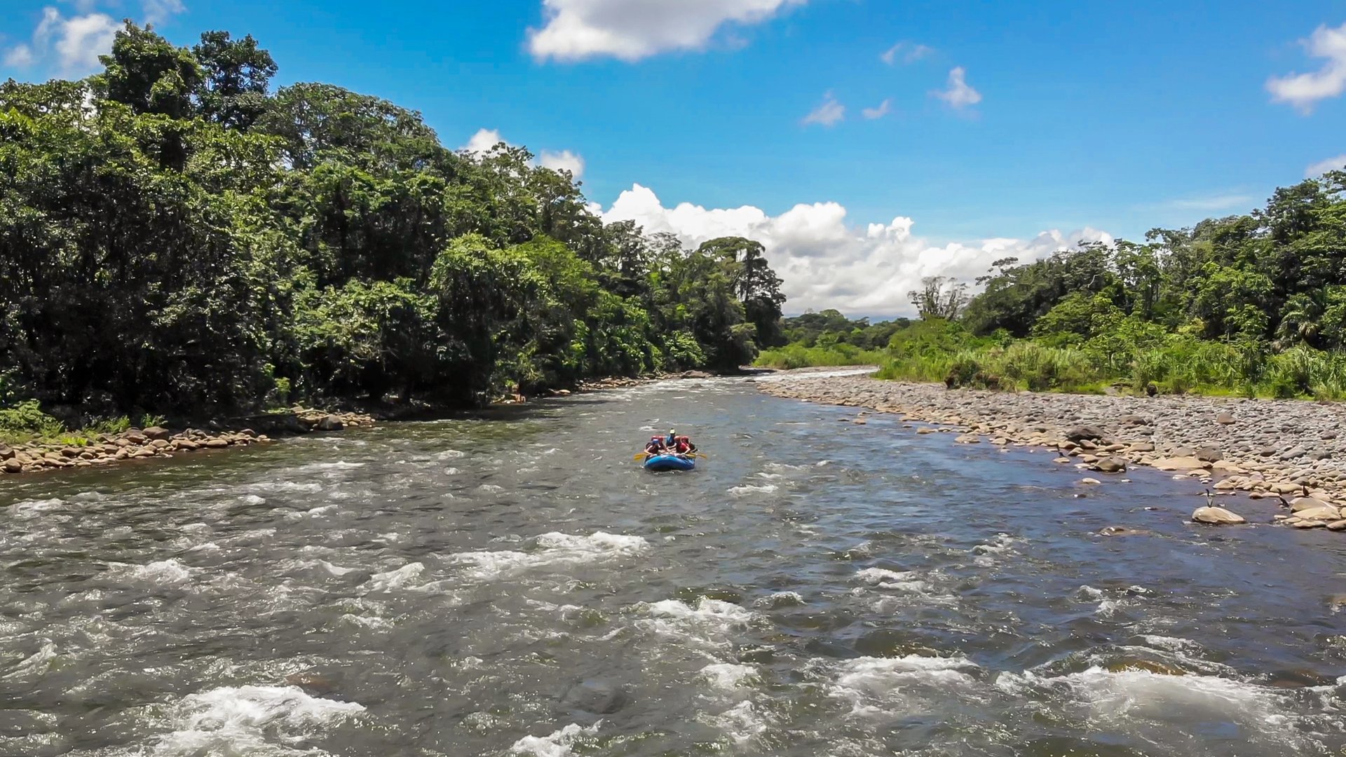 Whitewater rafting on Pacuare River through jungle canyon