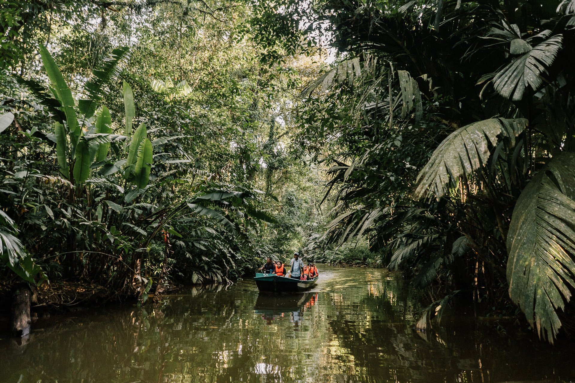 Tropical canal and jungle in Tortuguero