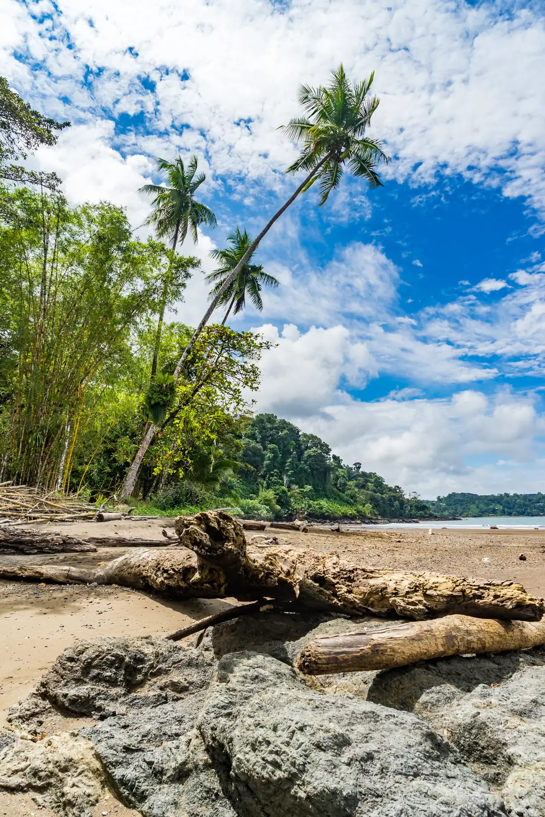 Costa di Drake Bay, Costa Rica
