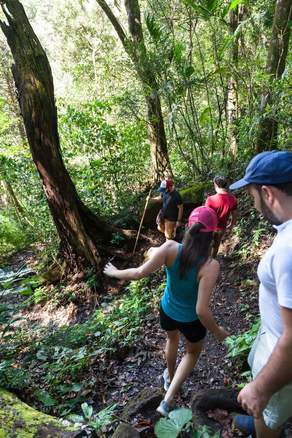 Viaggiatori CRS Tours in escursione nella foresta pluviale della Costa Rica