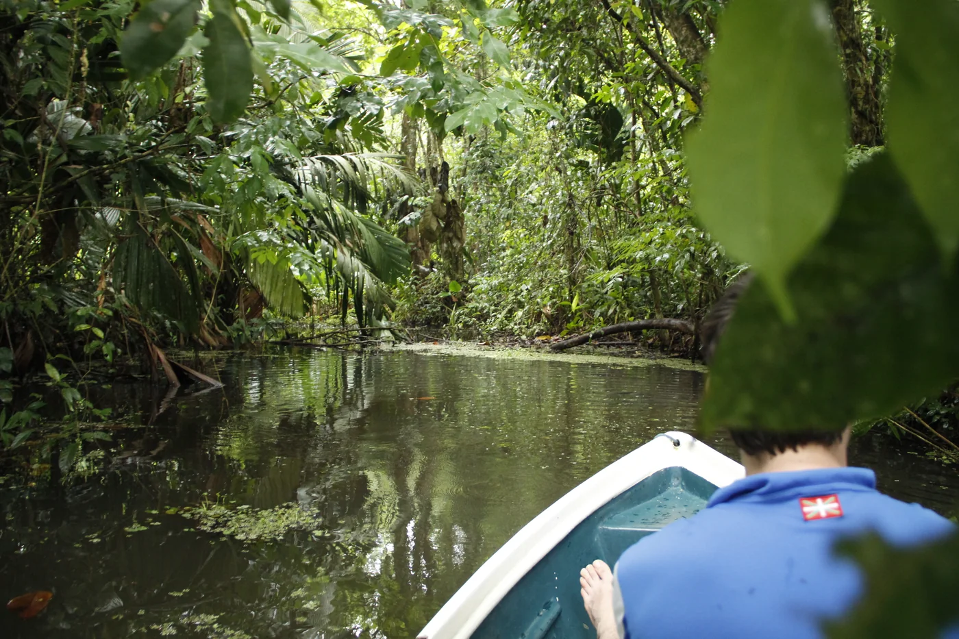 Tortuguero, Costa Rica